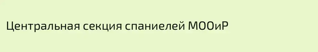 Центральная секция спаниелей МООиР